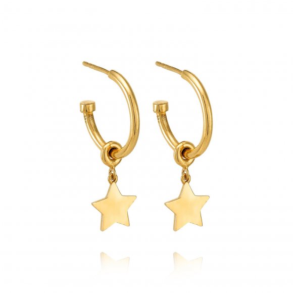 Small Star hoops